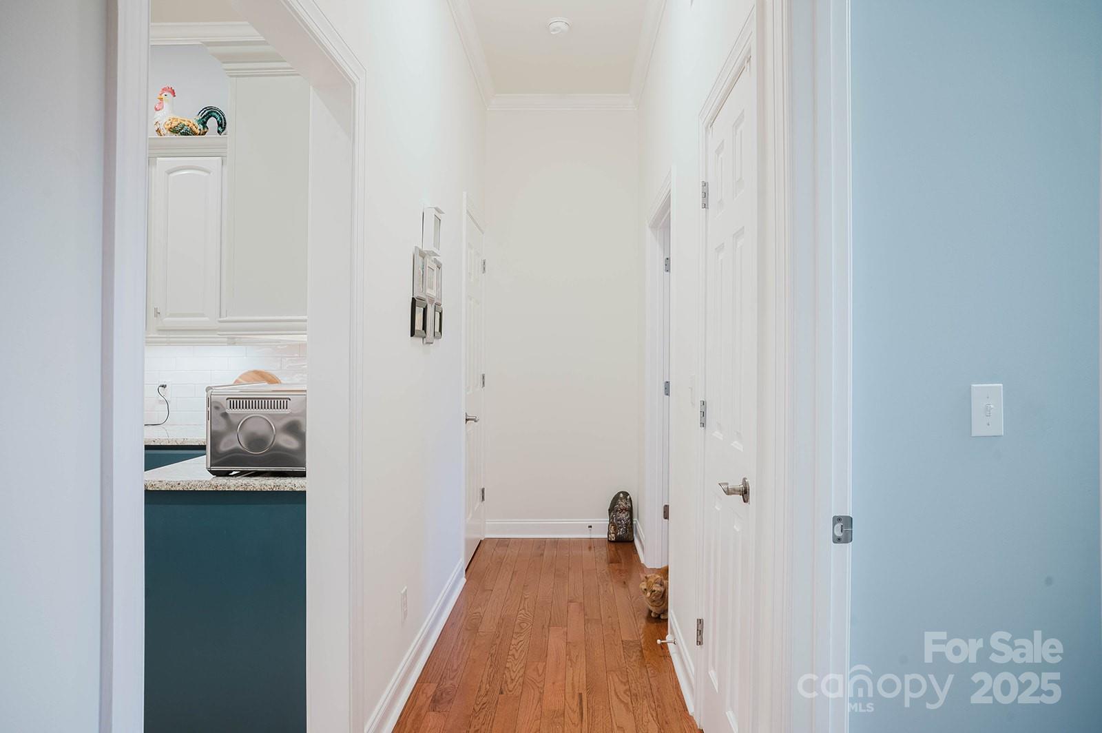 2007 Holly Tree Hill