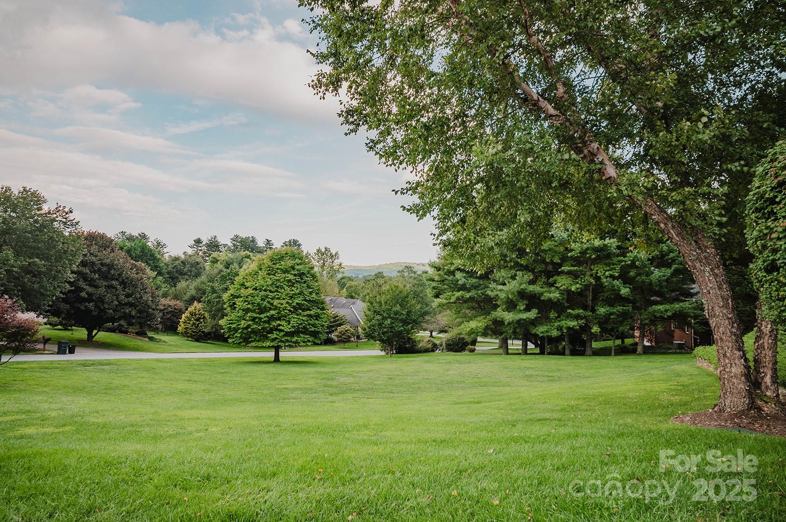 2007 Holly Tree Hill