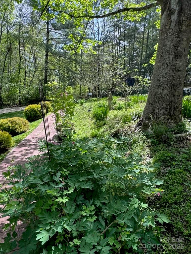 204 Pine Berry Circle