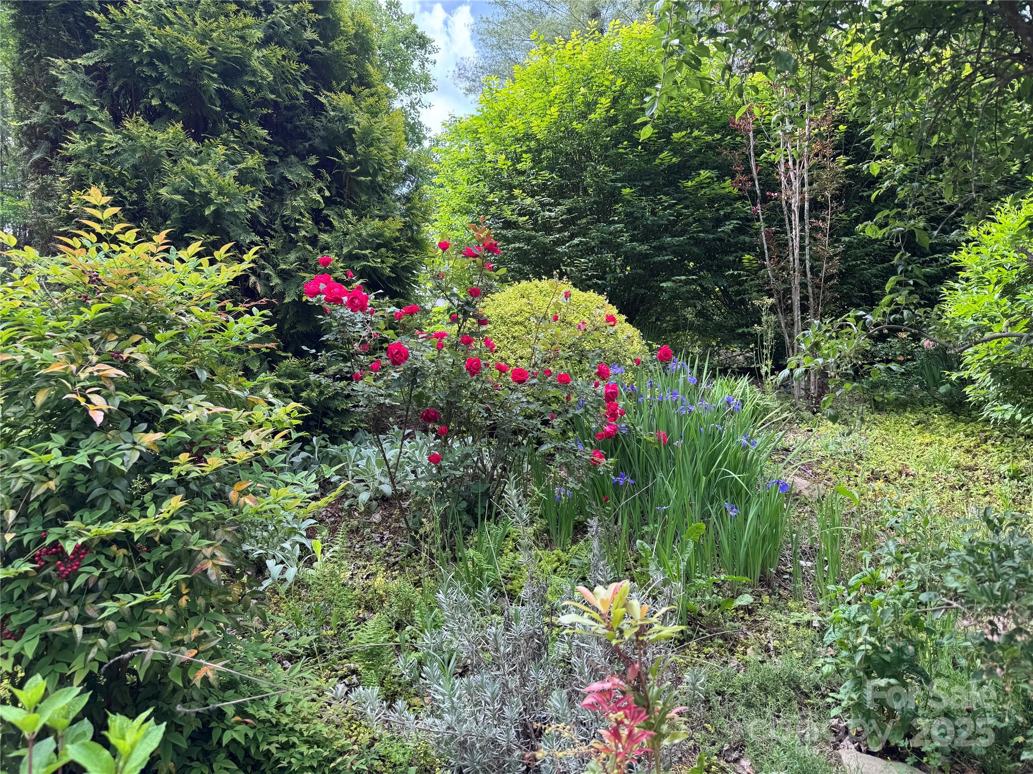 204 Pine Berry Circle