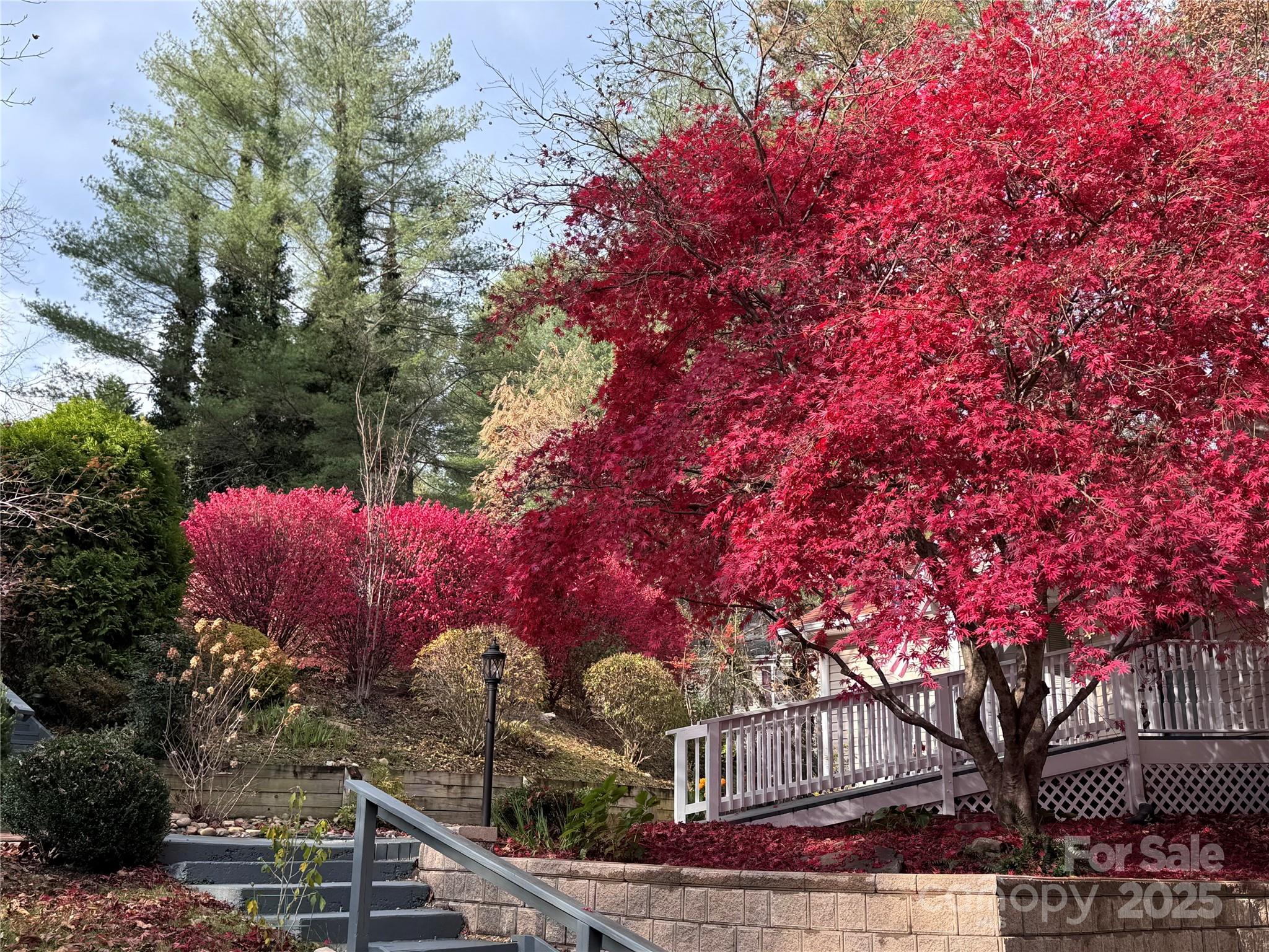 204 Pine Berry Circle