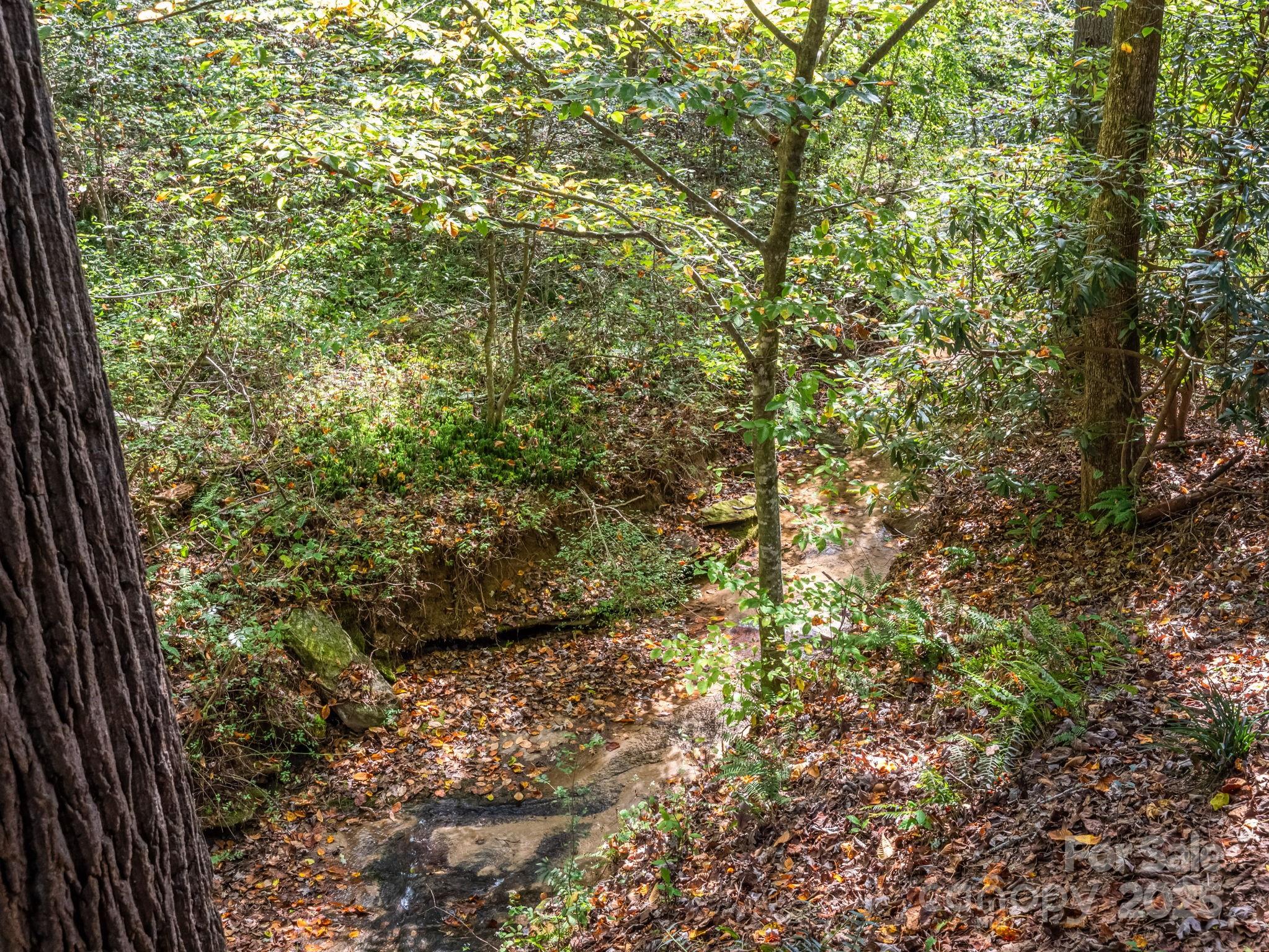 204 Pine Berry Circle