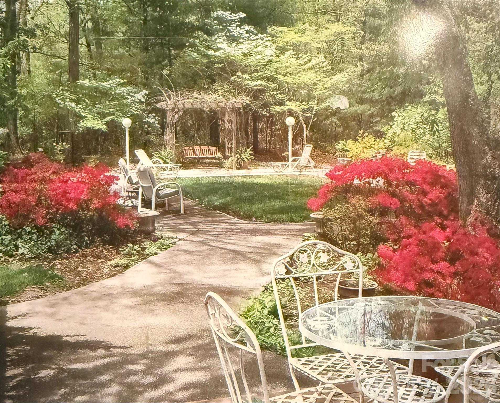Garden patio with a curving path, pink azaleas, outdoor seating, and a vine-covered pergola.