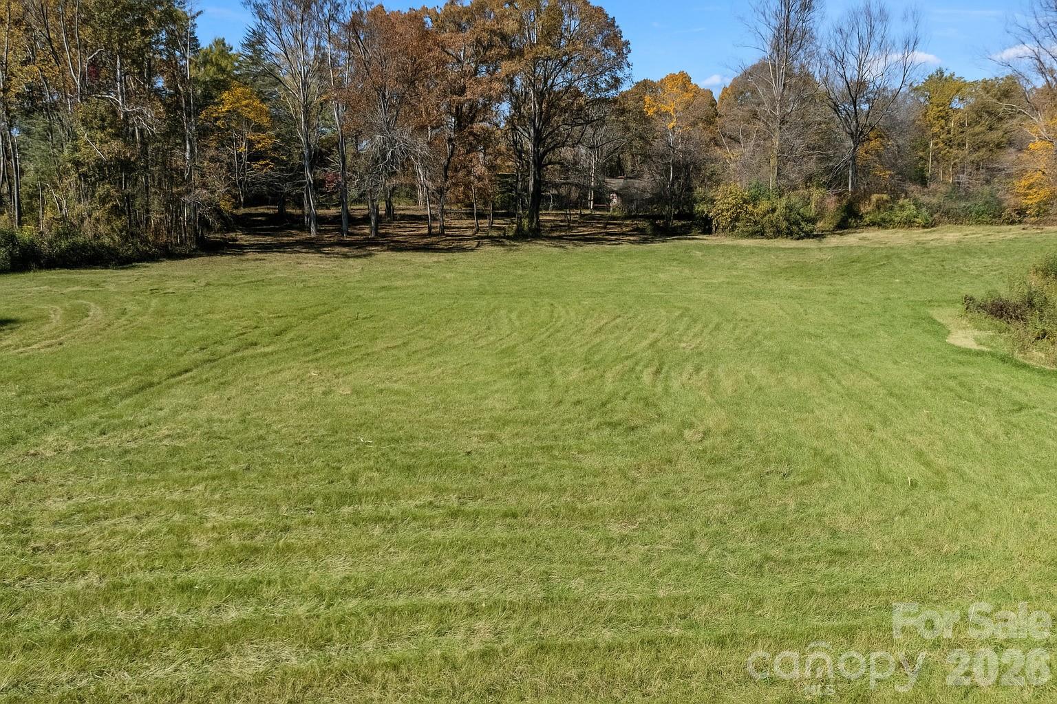 Open grassy field bordered by autumn trees and woods.