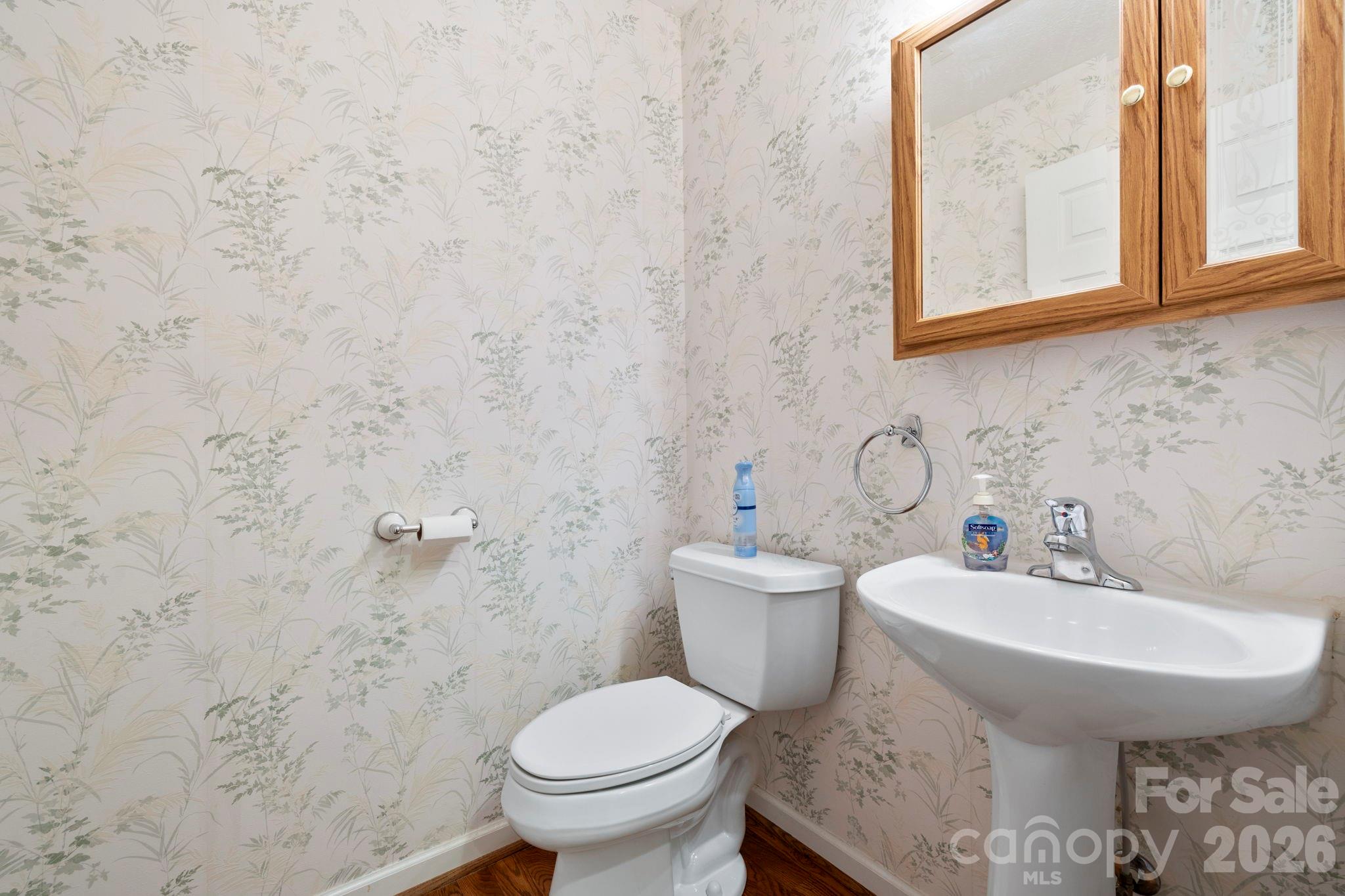 242 Carriage Summitt Way