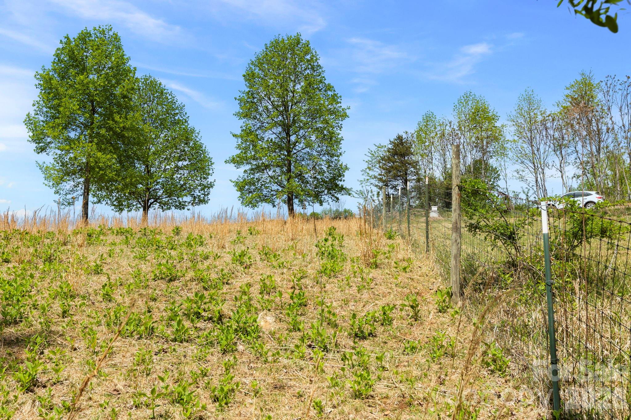 0 Simply Grateful Drive