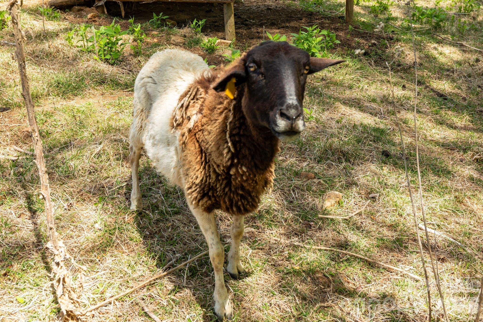 0 Simply Grateful Drive