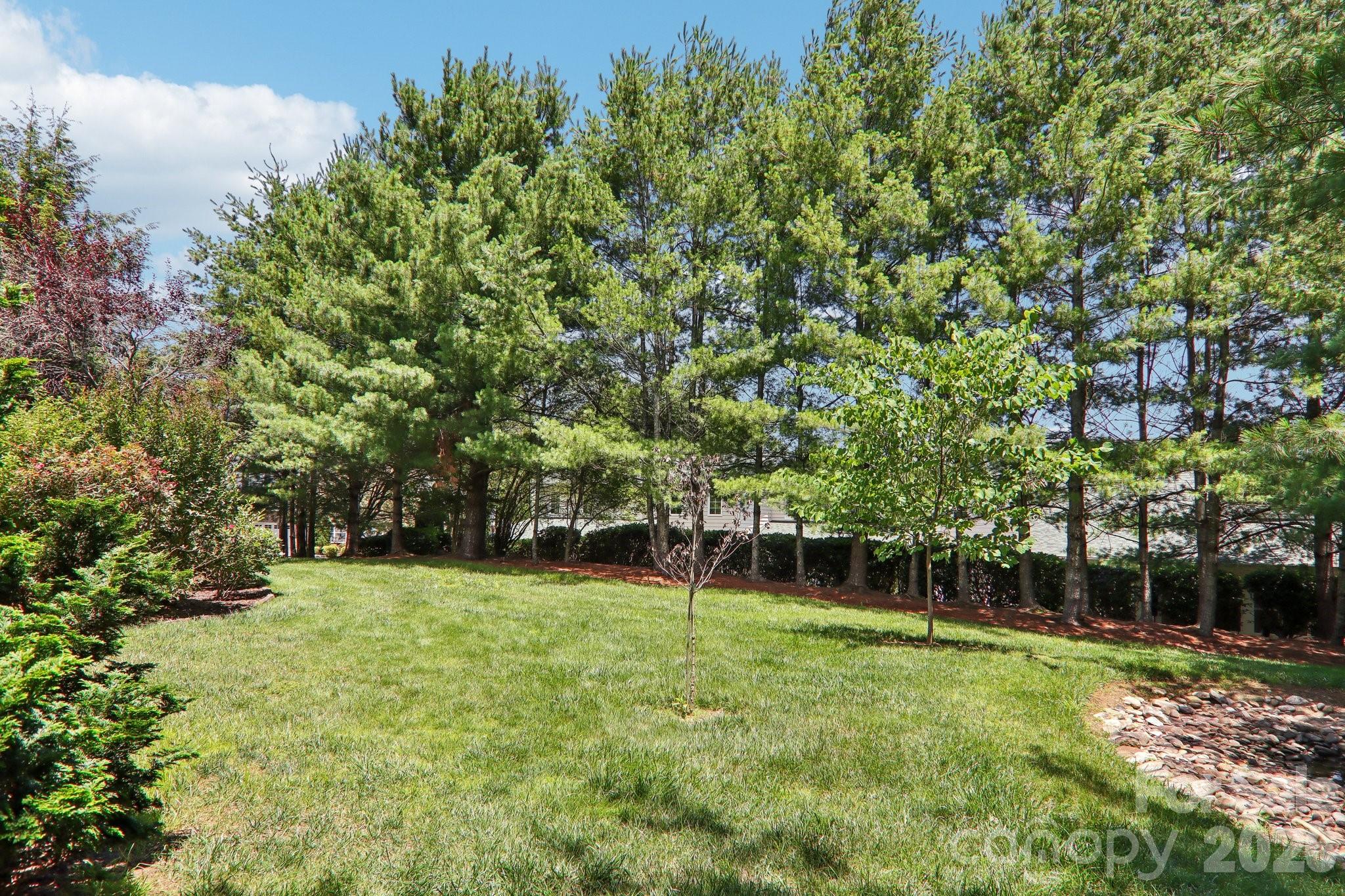 54 Victoria Park Drive