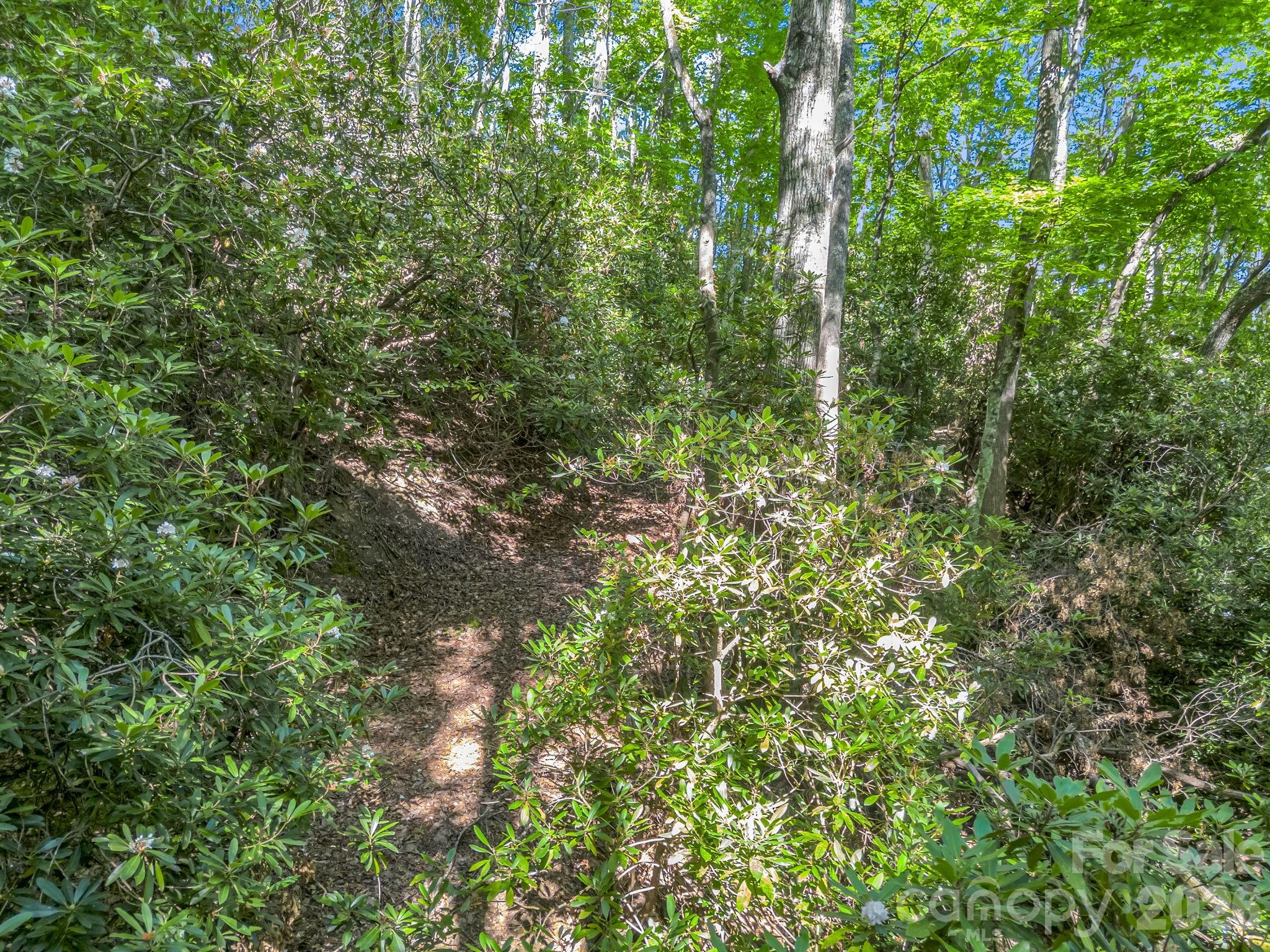 0 Vineyard Hill Drive