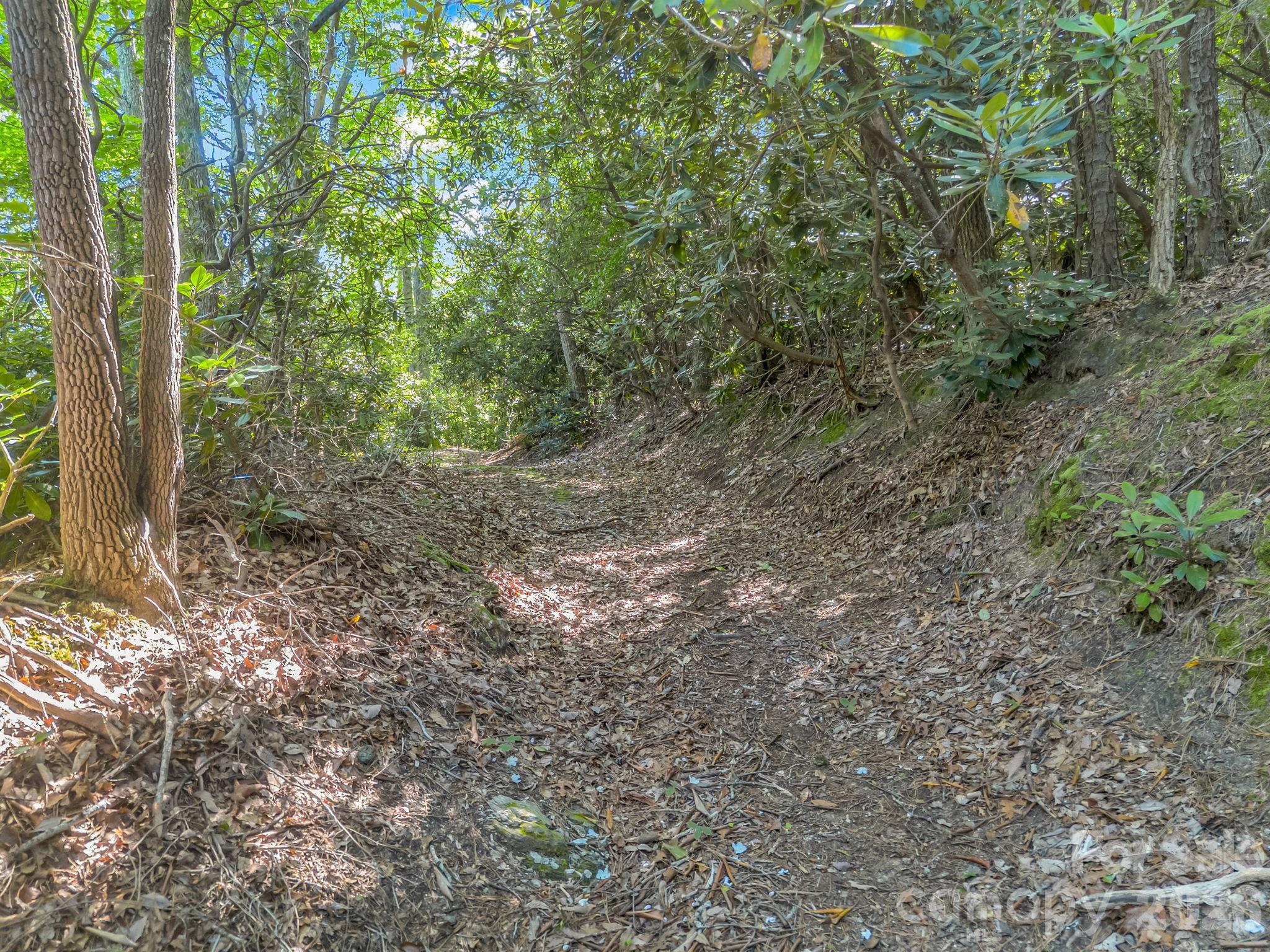 0 Vineyard Hill Drive