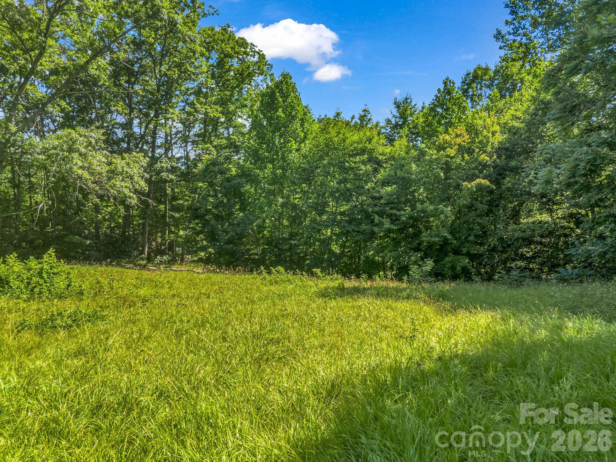0 Vineyard Hill Drive