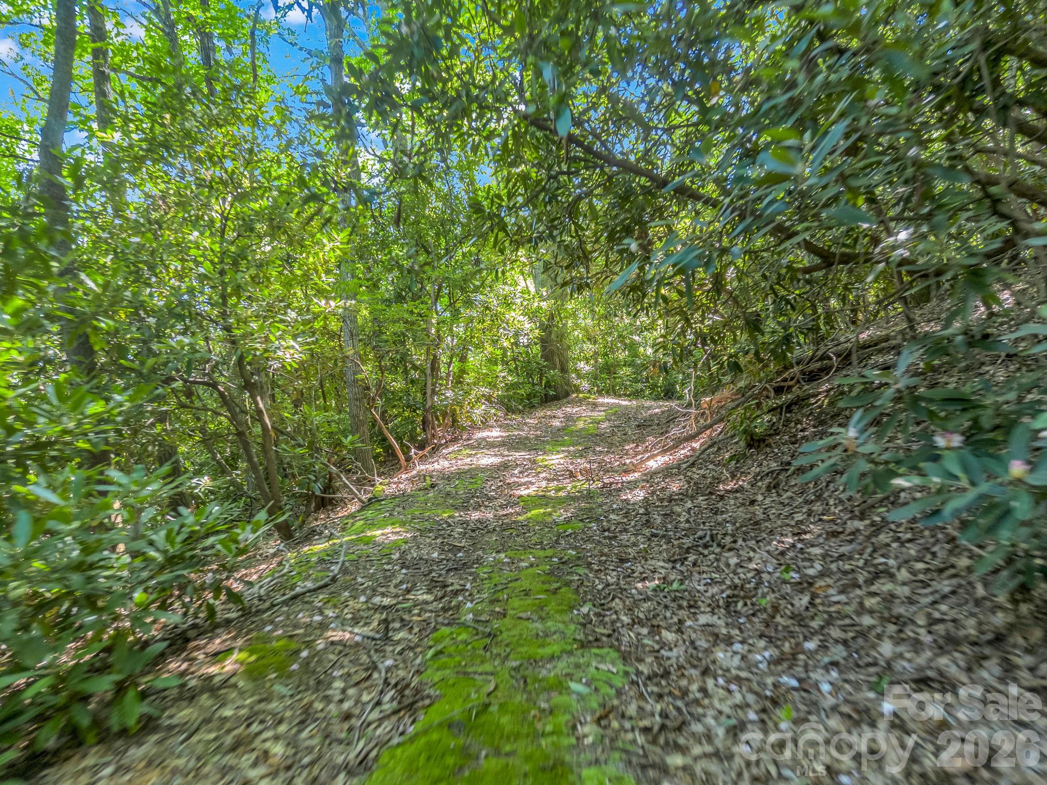 0 Vineyard Hill Drive