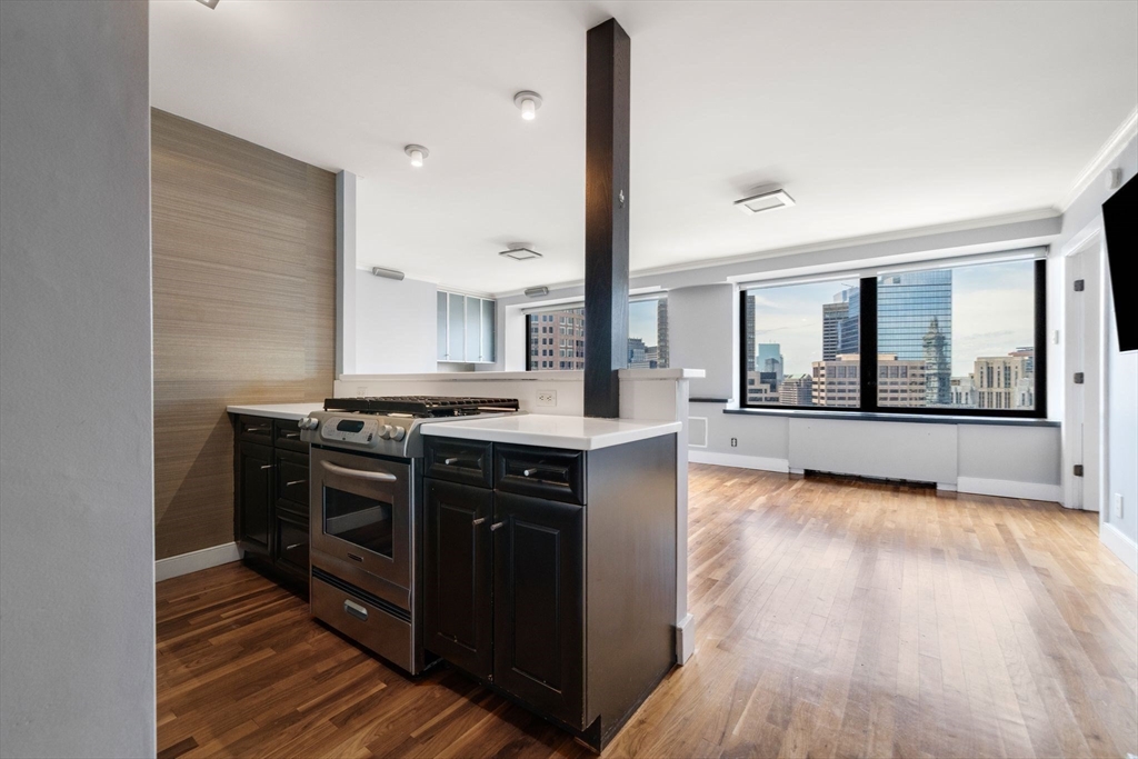 65 E India Row # 31H