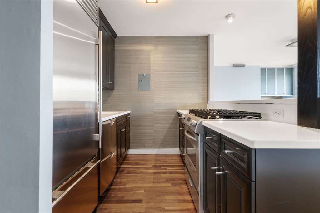 65 E India Row # 31H