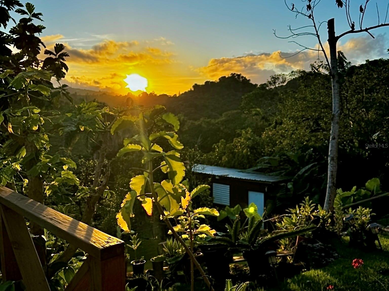 PR-621 KM 0.9 INTERIOR BO. CAGUANA