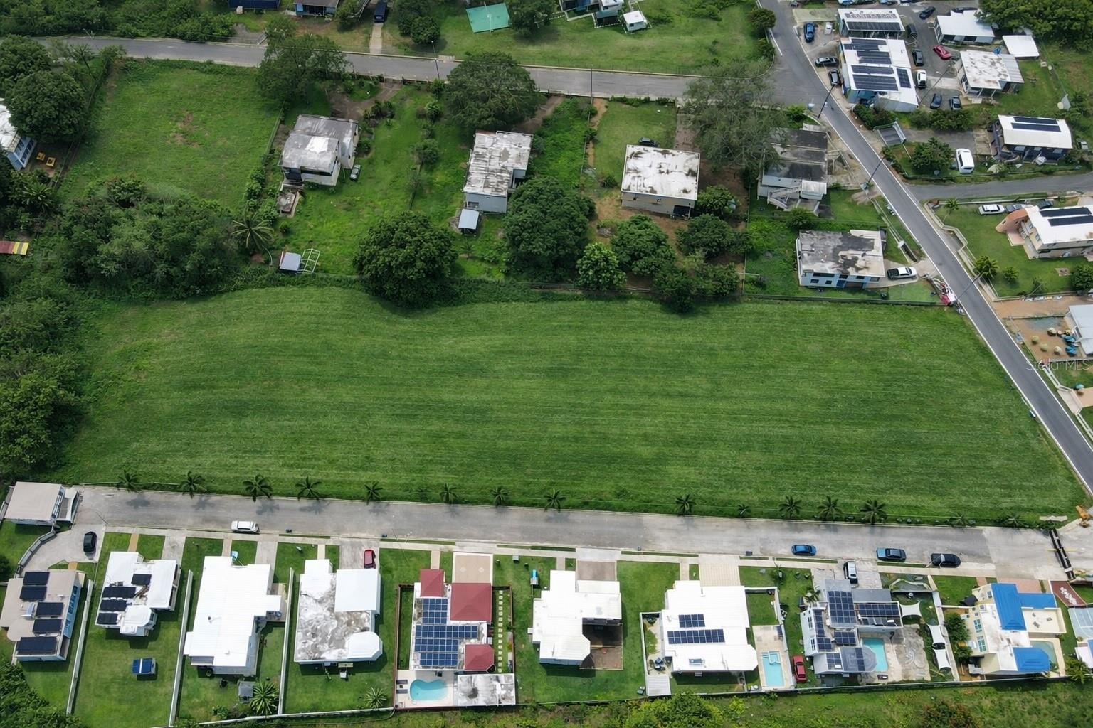 PR-604 LOS RABANOS KM 3.5