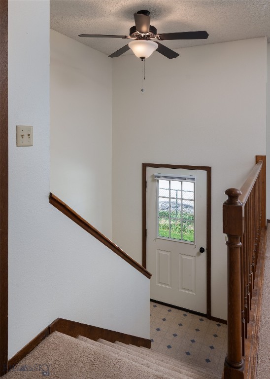 1301-1311 W Koch Street