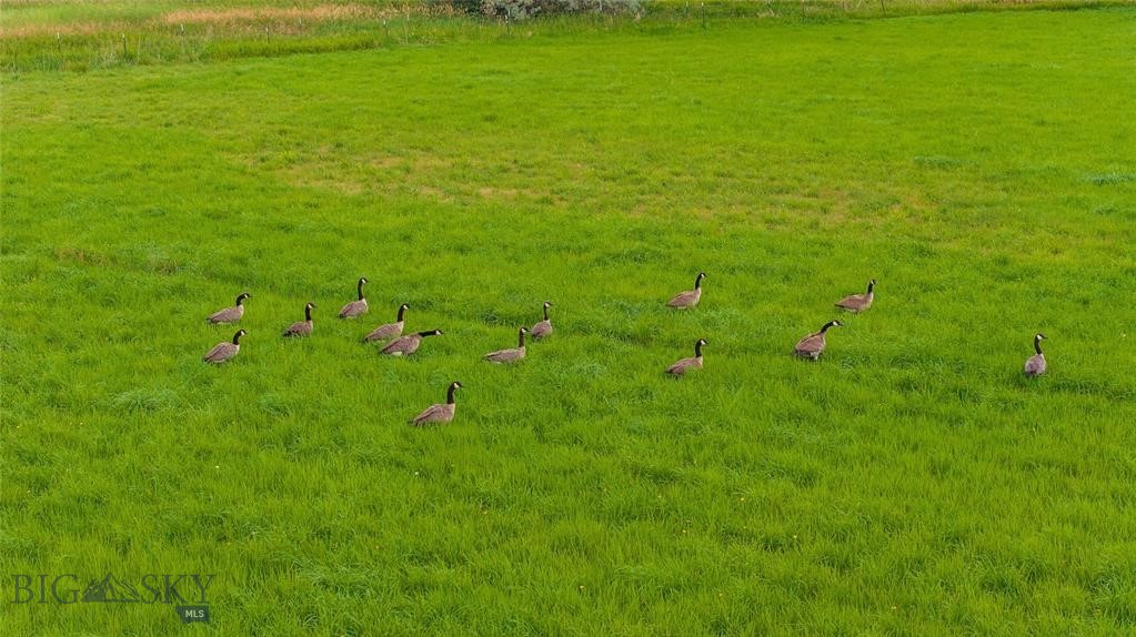 120 Lower Ray Creek Road