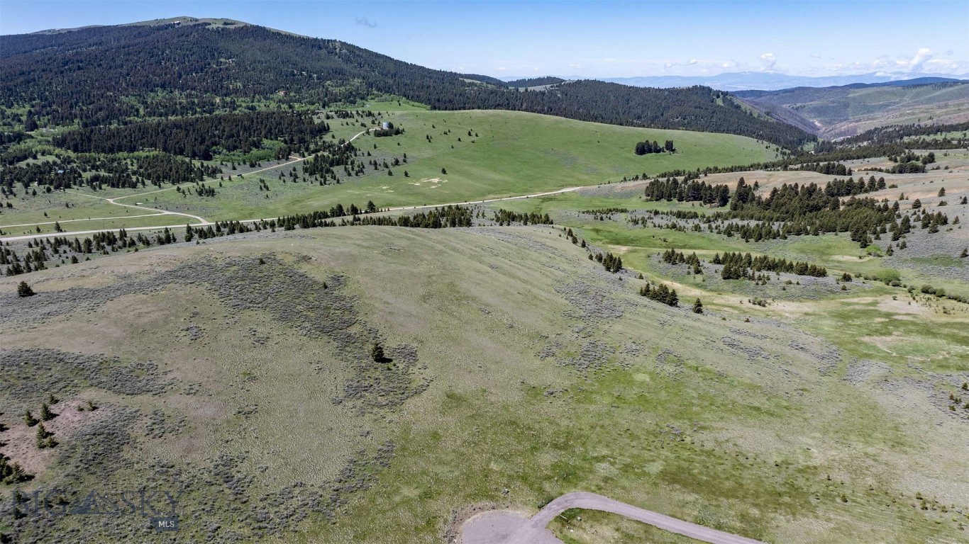 100 Cougar Trail