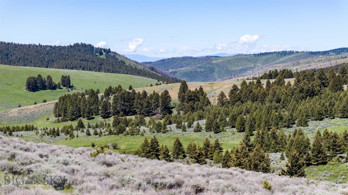 100 Cougar Trail