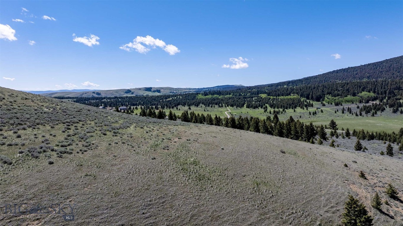 100 Cougar Trail
