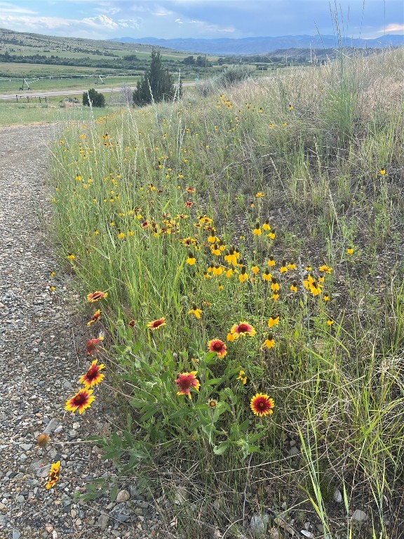 729 US HWY 12 E