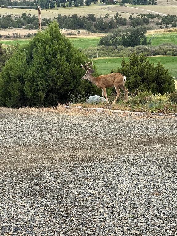 729 US HWY 12 E