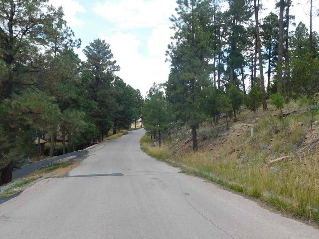 208 Timberline Drive 1