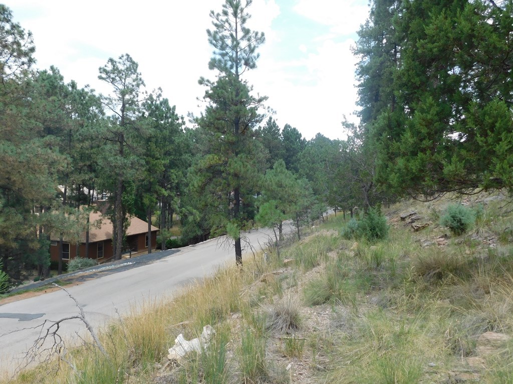 208 Timberline Drive 1