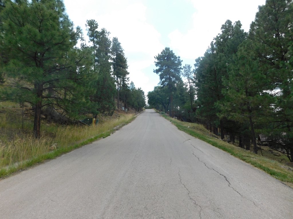 208 Timberline Drive 1