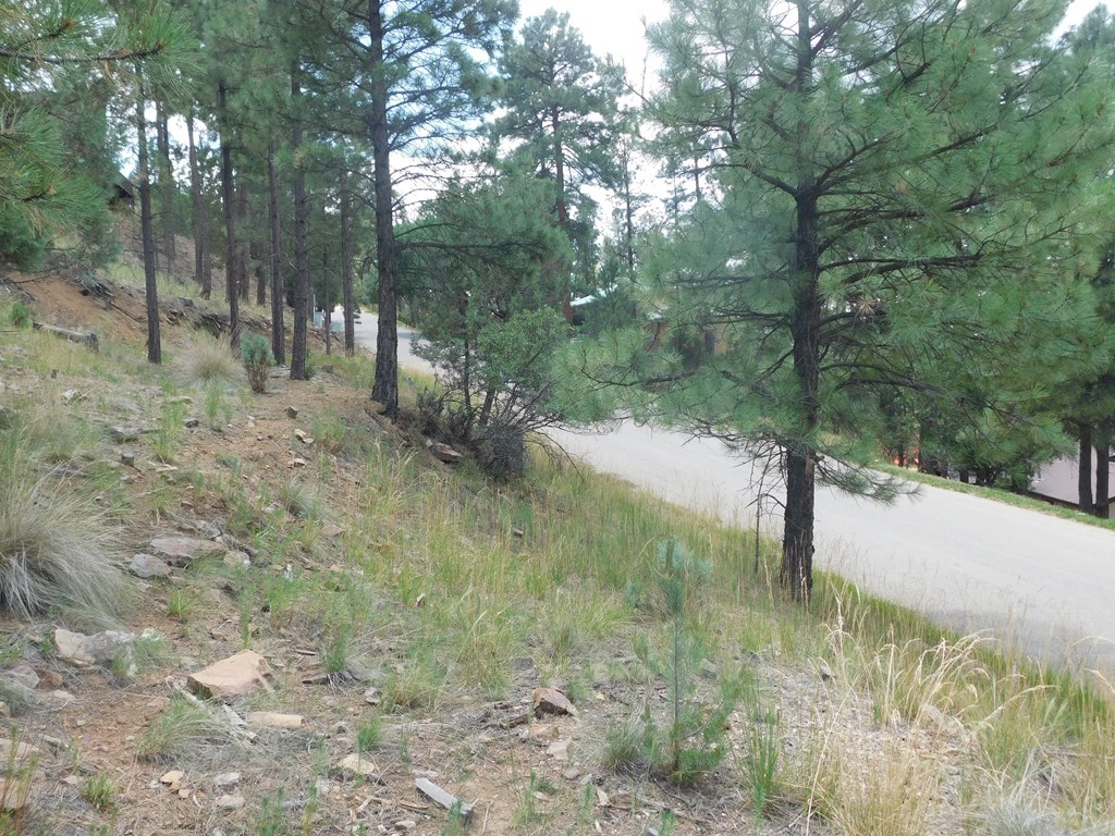 208 Timberline Drive 1