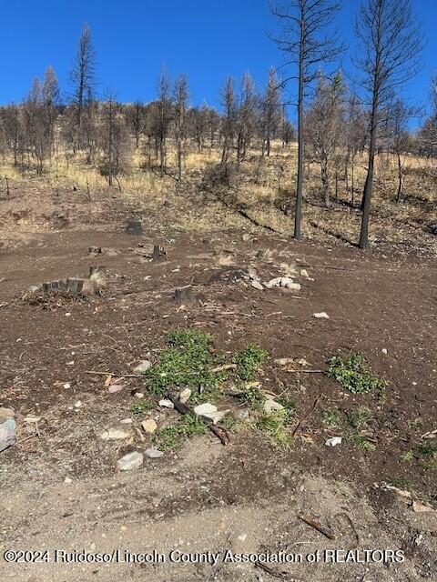 150 Spring Canyon Road