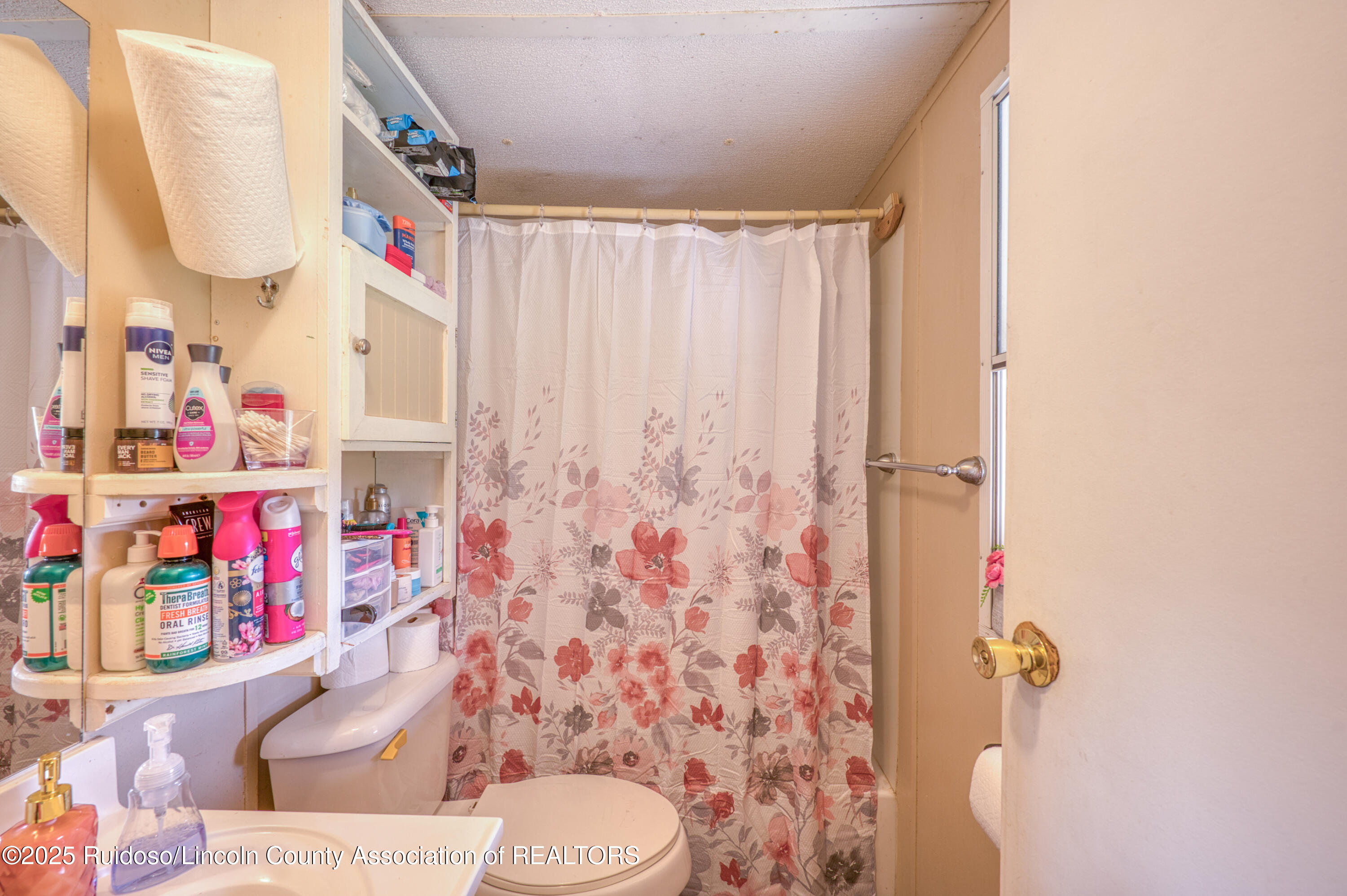 135 Wolf Springs Loop