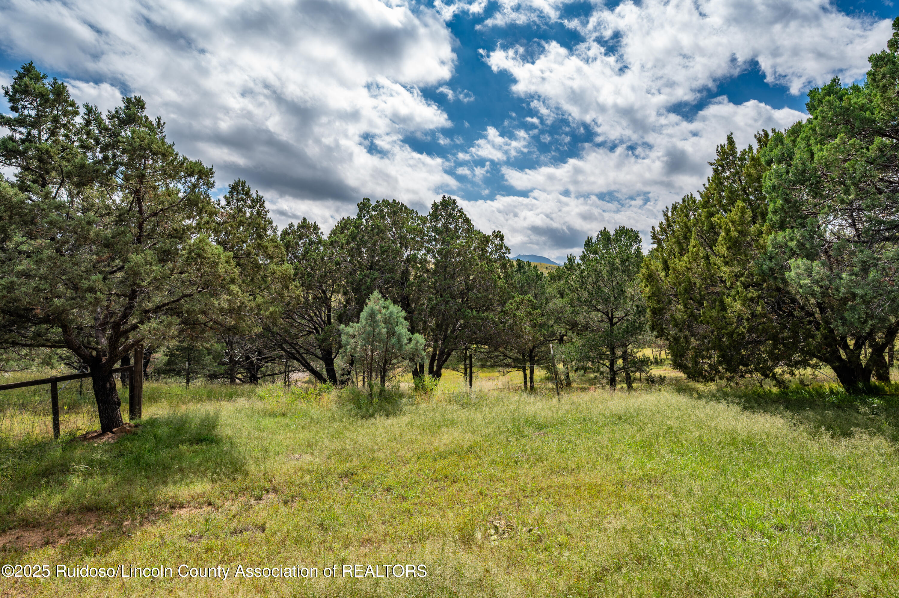 135 Wolf Springs Loop