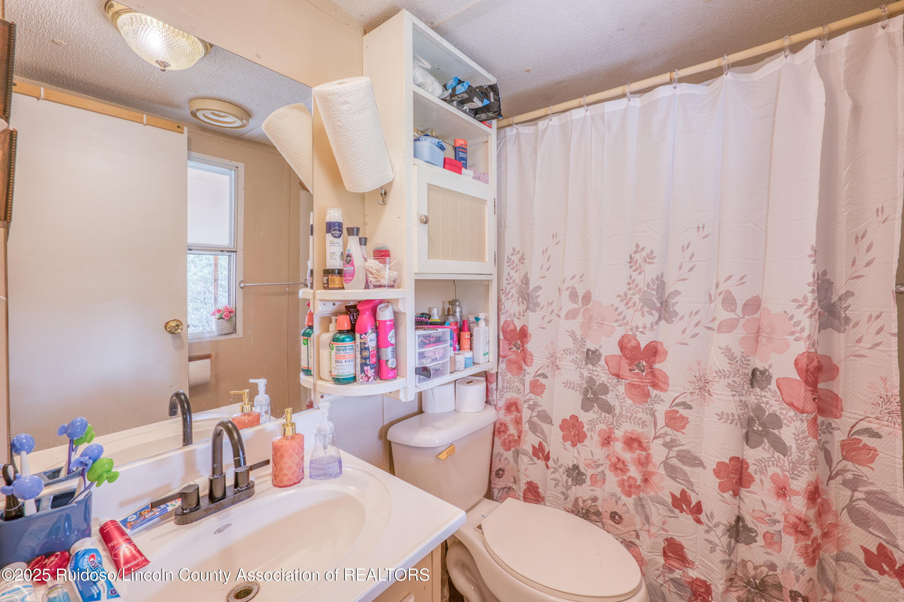 135 Wolf Springs Loop