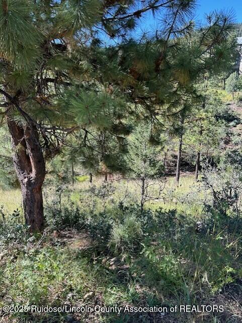 113 & 115 Westbury Drive