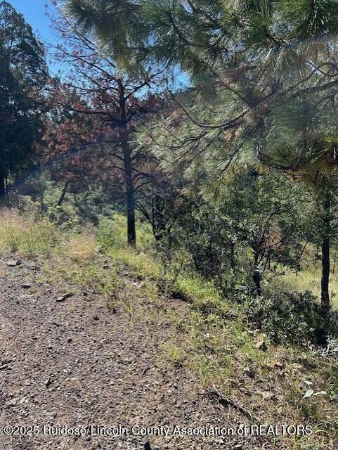 113 & 115 Westbury Drive