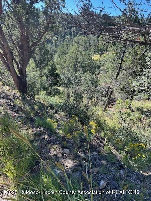 113 & 115 Westbury Drive