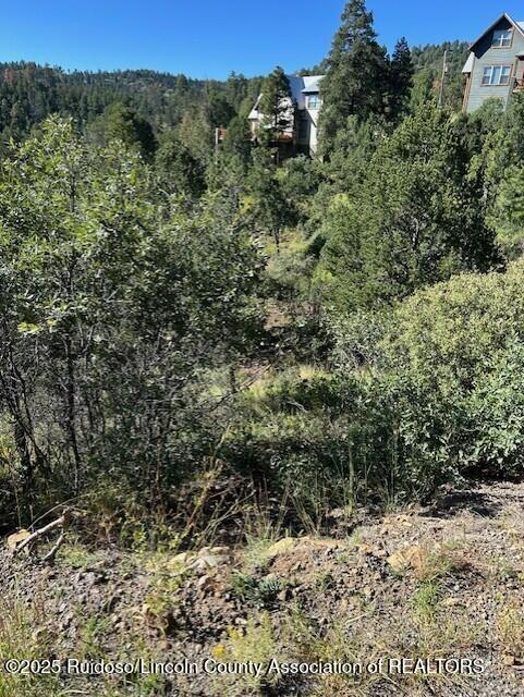 113 & 115 Westbury Drive