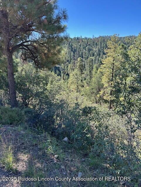 113 & 115 Westbury Drive