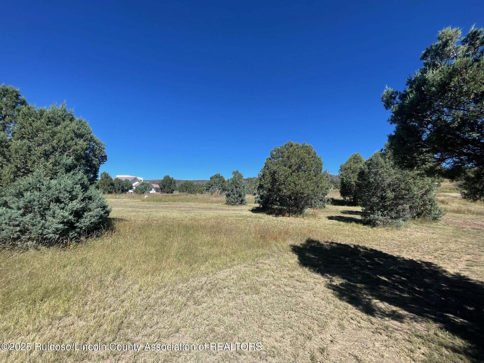 L193 Saddleback Road