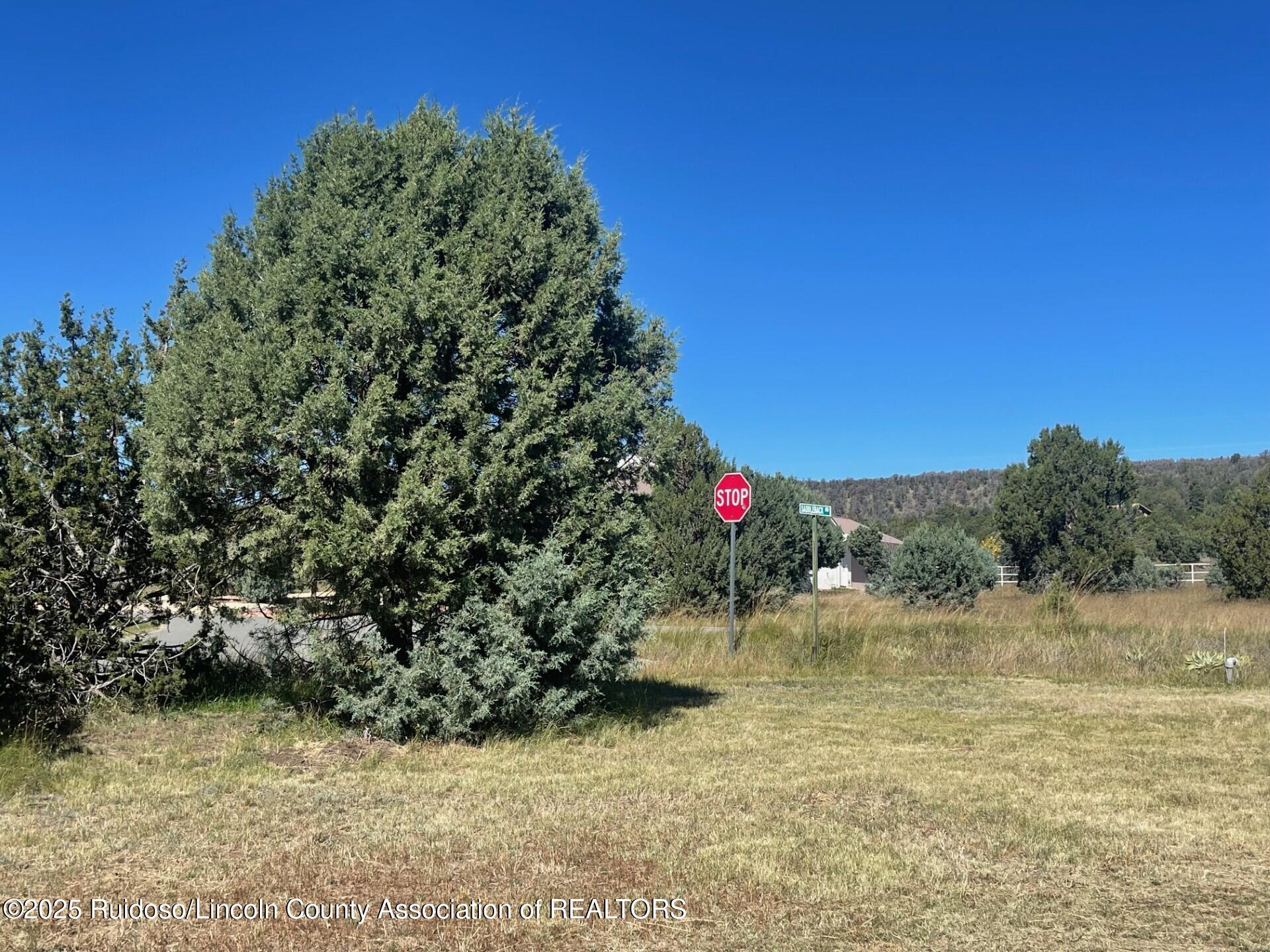 L193 Saddleback Road