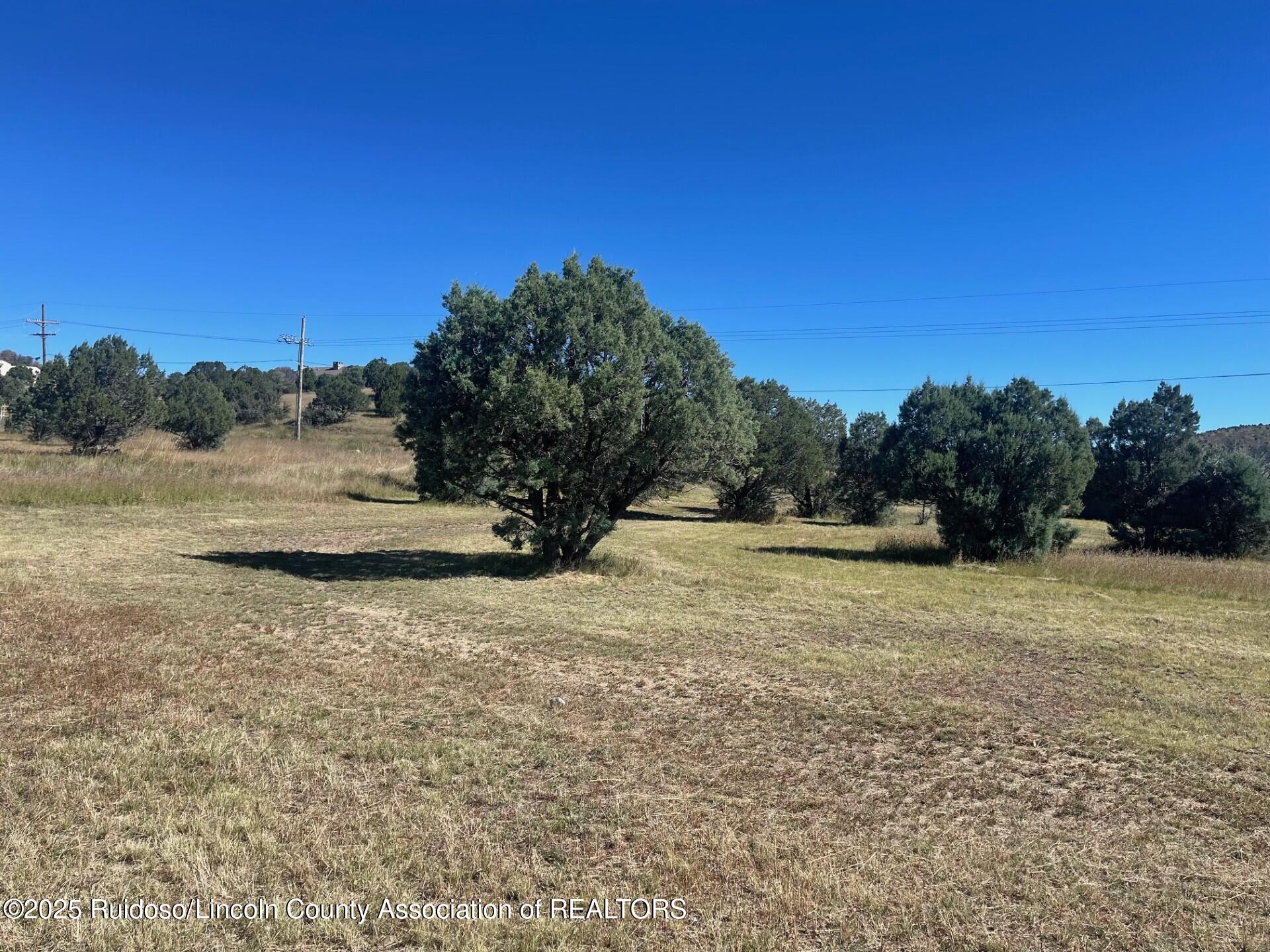 L193 Saddleback Road