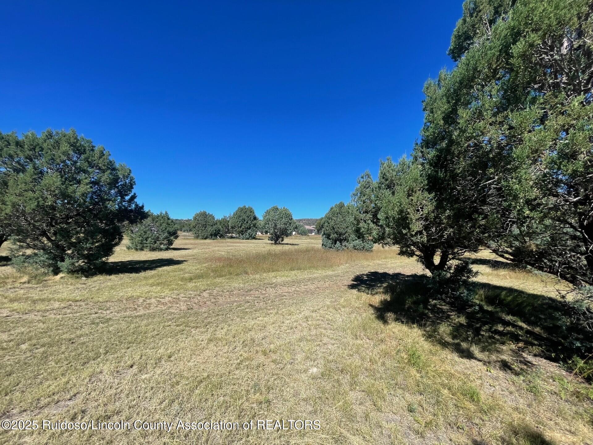 L193 Saddleback Road