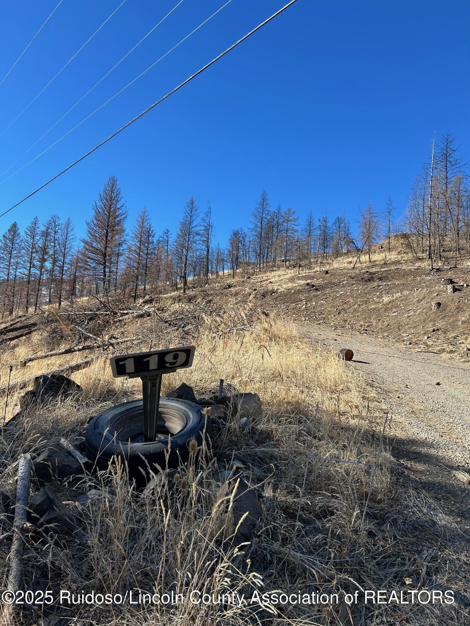 119 Musketball Drive