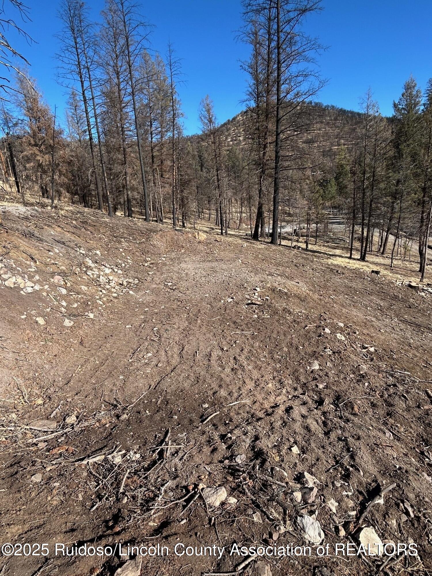 119 Musketball Drive