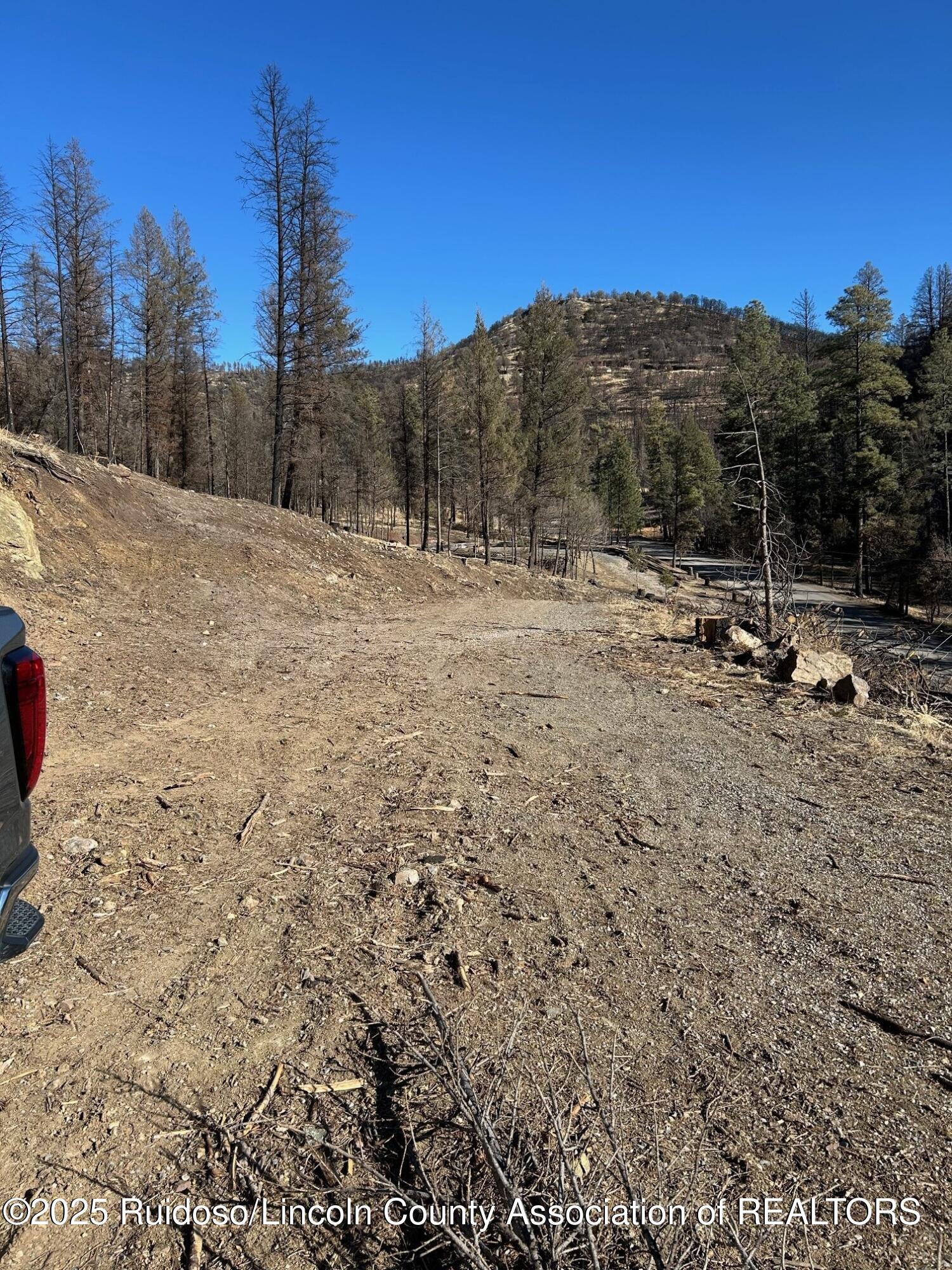 119 Musketball Drive