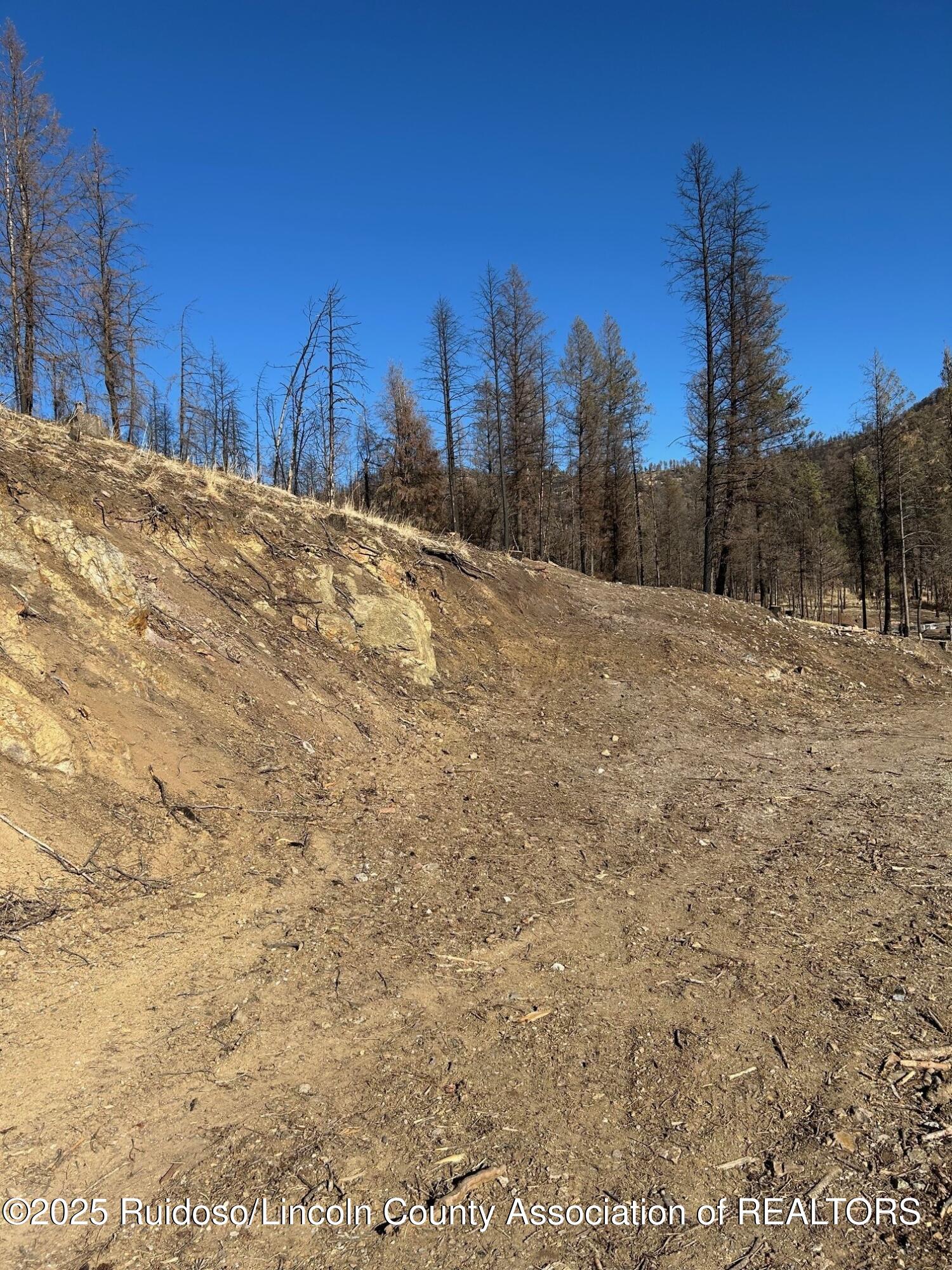 119 Musketball Drive