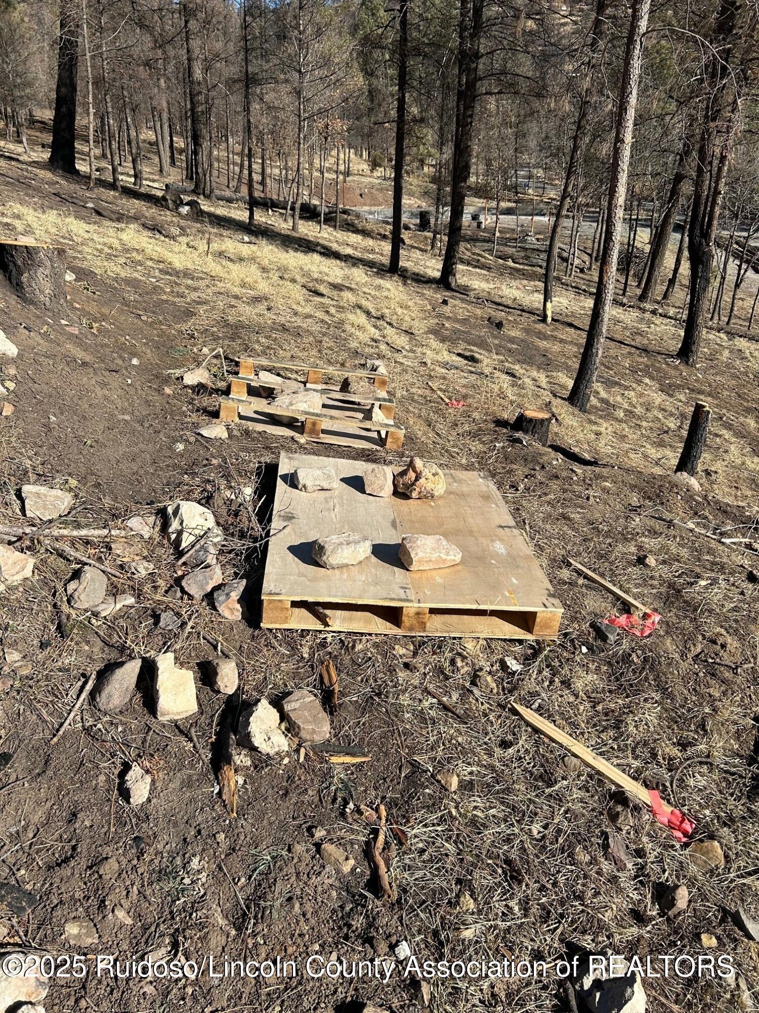 119 Musketball Drive