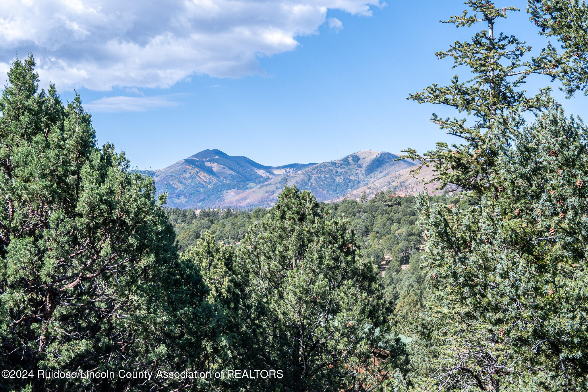 120 Rose Wood Trail